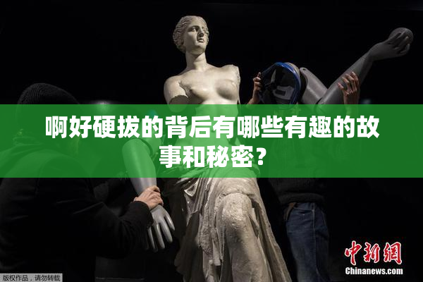 啊好硬拔的背后有哪些有趣的故事和秘密？