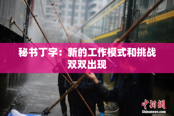 秘书丁字：新的工作模式和挑战双双出现