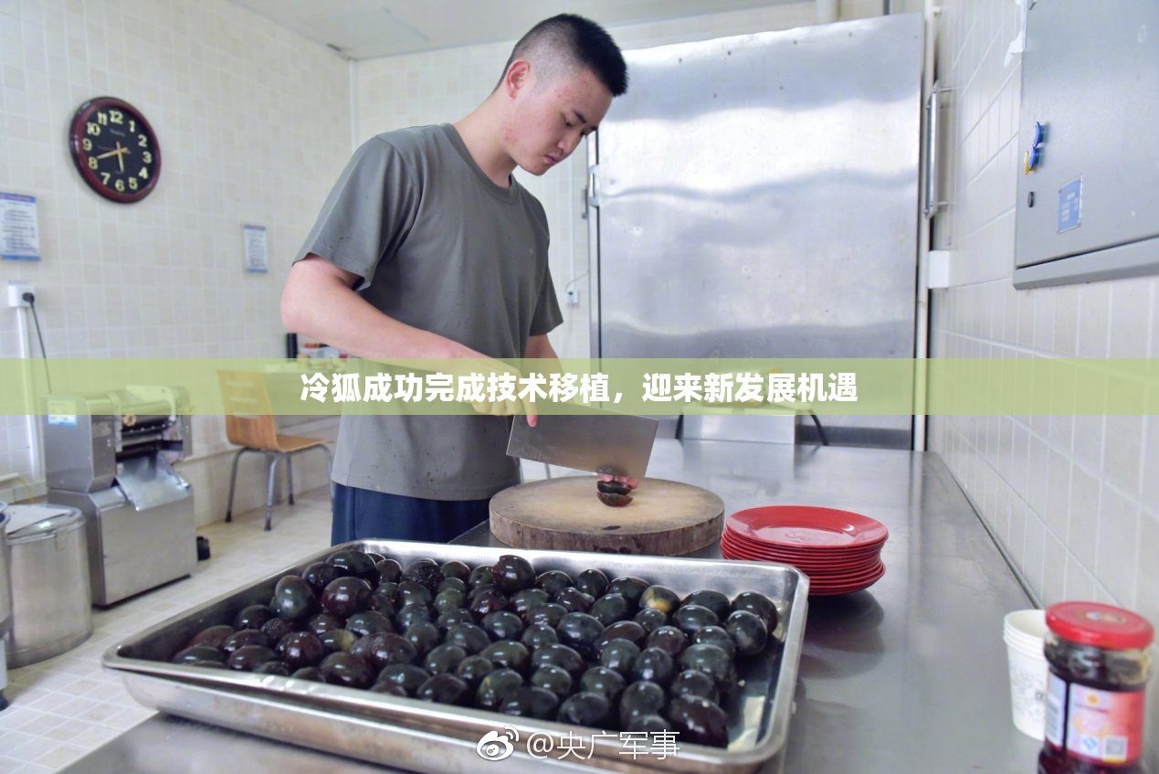 冷狐成功完成技术移植，迎来新发展机遇