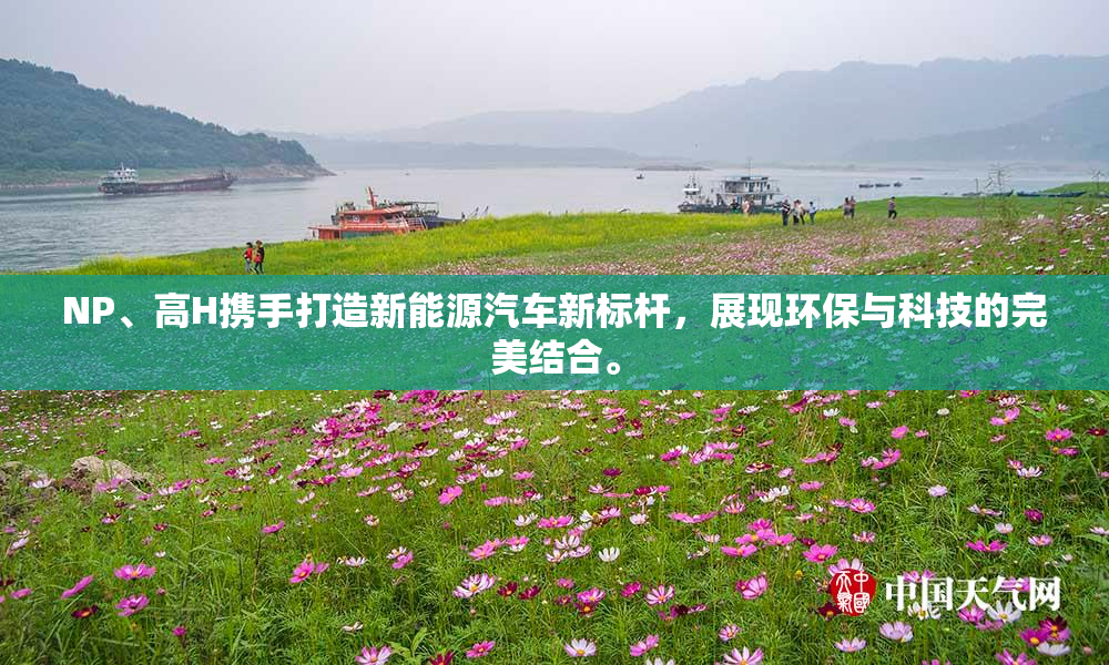 NP、高H携手打造新能源汽车新标杆，展现环保与科技的完美结合。