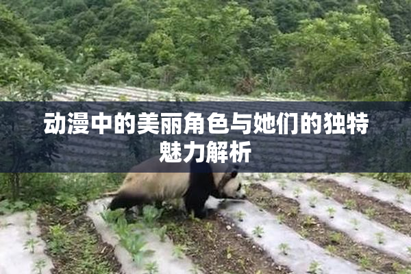 动漫中的美丽角色与她们的独特魅力解析