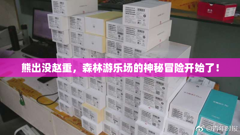 熊出没赵重，森林游乐场的神秘冒险开始了！