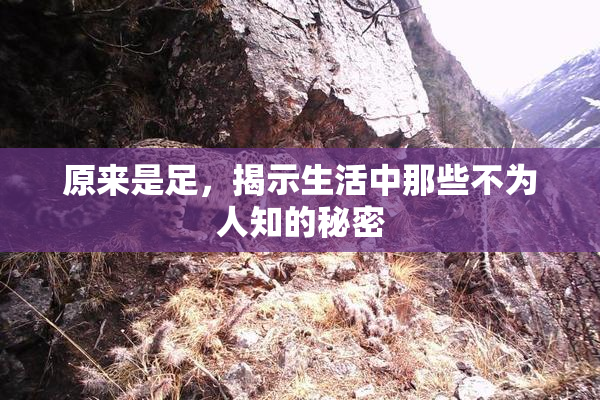 原来是足，揭示生活中那些不为人知的秘密