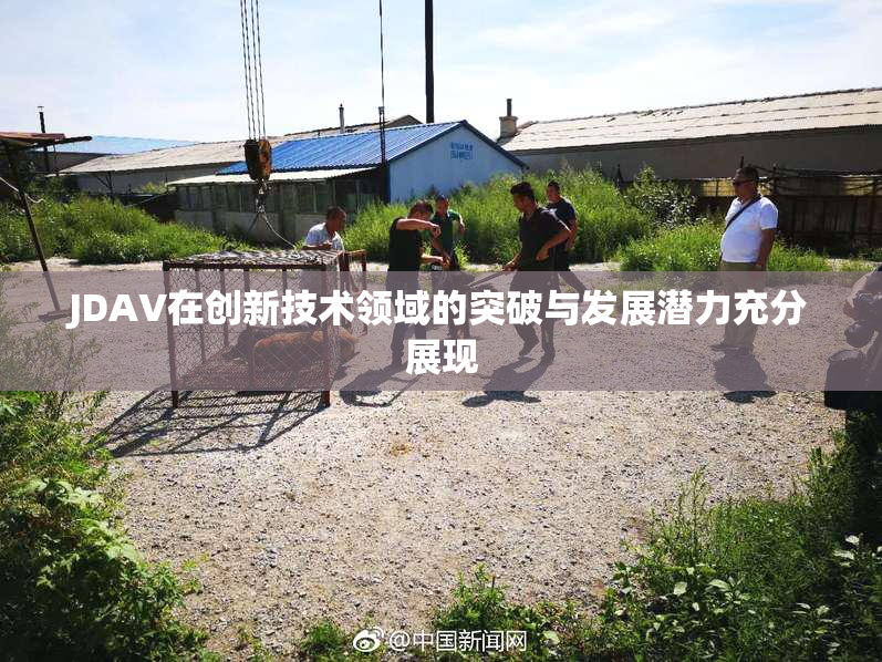 JDAV在创新技术领域的突破与发展潜力充分展现