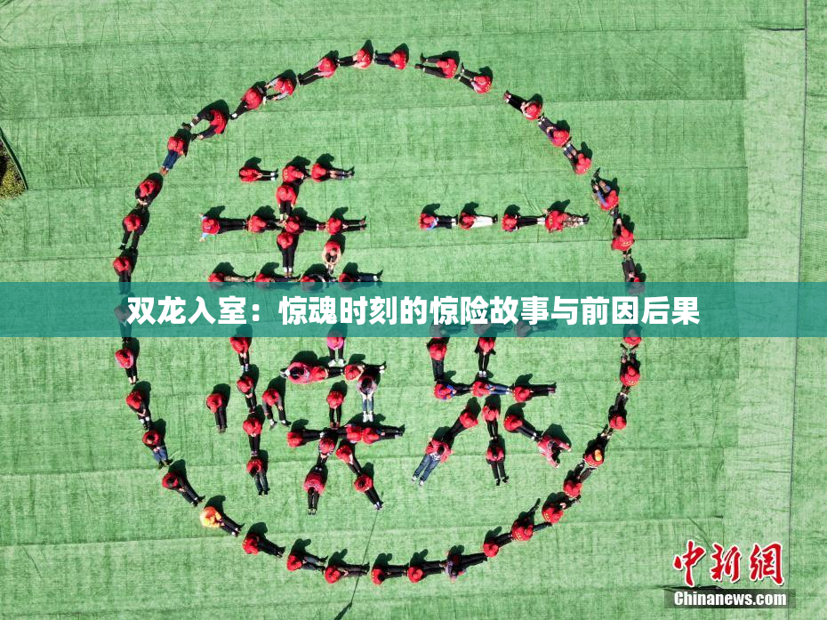 双龙入室：惊魂时刻的惊险故事与前因后果