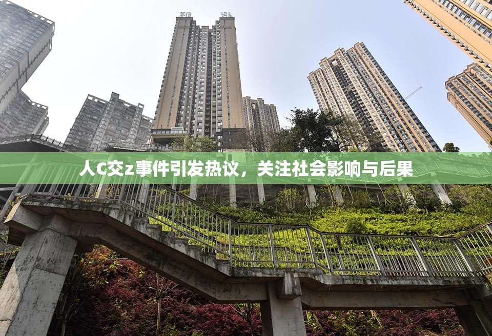 人C交z事件引发热议，关注社会影响与后果