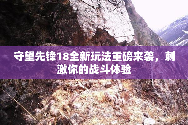 守望先锋18全新玩法重磅来袭，刺激你的战斗体验