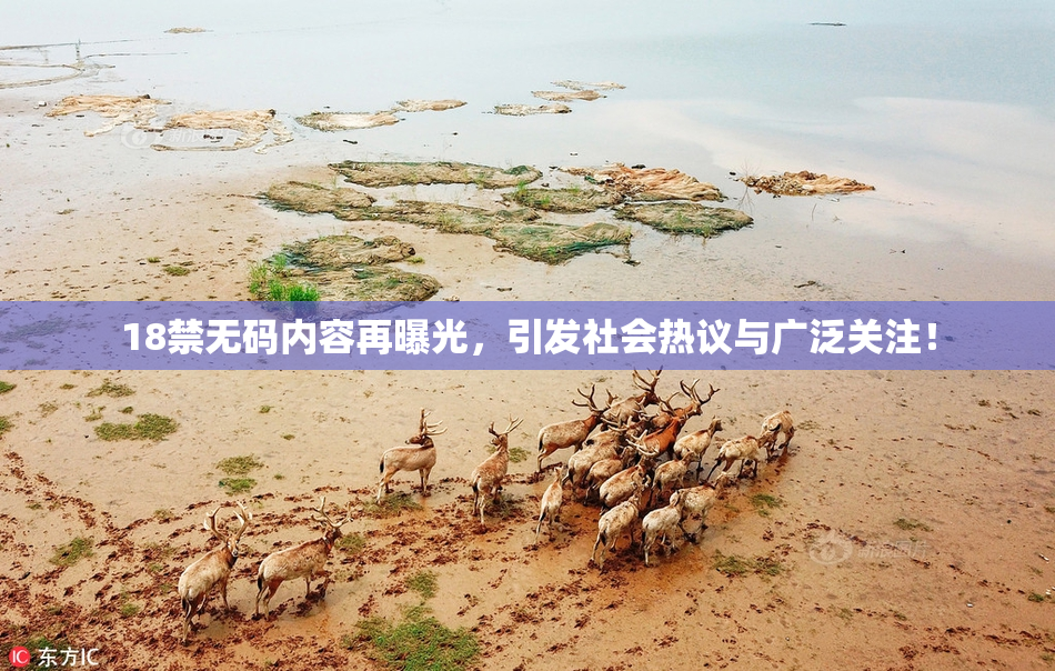 18禁无码内容再曝光，引发社会热议与广泛关注！