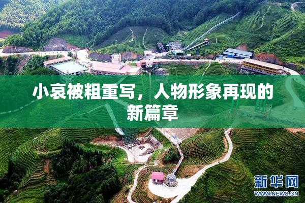 小哀被粗重写，人物形象再现的新篇章