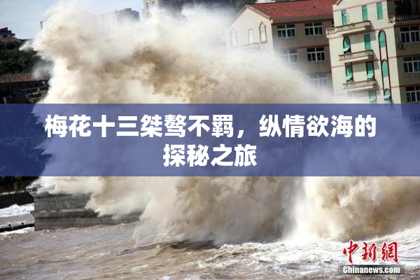 梅花十三桀骜不羁，纵情欲海的探秘之旅