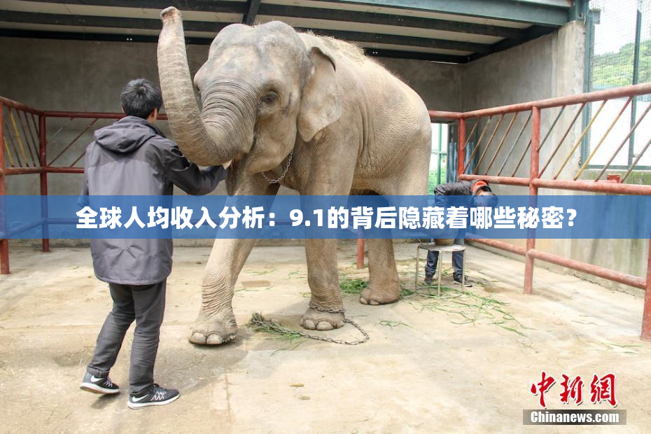 全球人均收入分析：9.1的背后隐藏着哪些秘密？