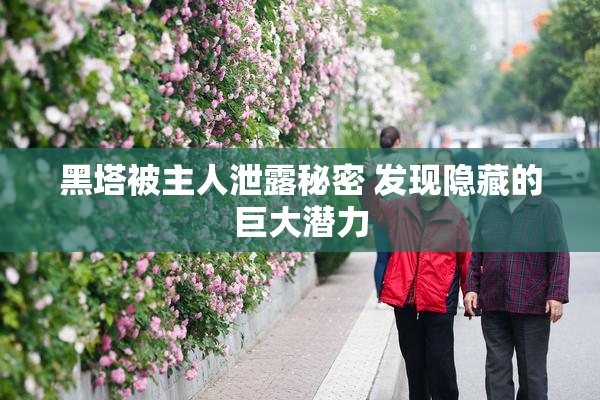 黑塔被主人泄露秘密 发现隐藏的巨大潜力