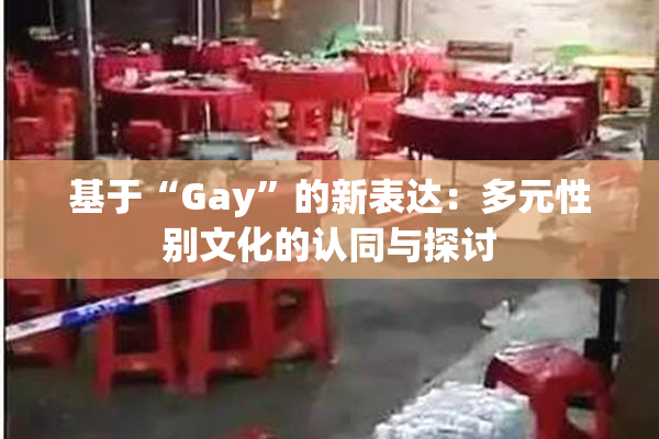 基于“Gay”的新表达：多元性别文化的认同与探讨