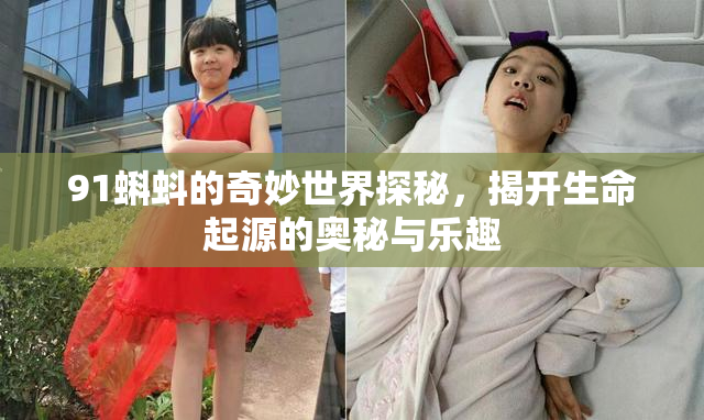 91蝌蚪的奇妙世界探秘，揭开生命起源的奥秘与乐趣