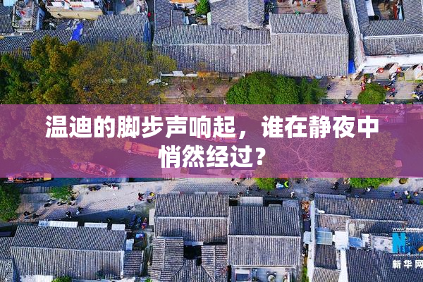 温迪的脚步声响起，谁在静夜中悄然经过？