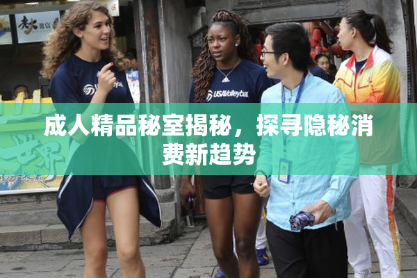 成人精品秘室揭秘，探寻隐秘消费新趋势