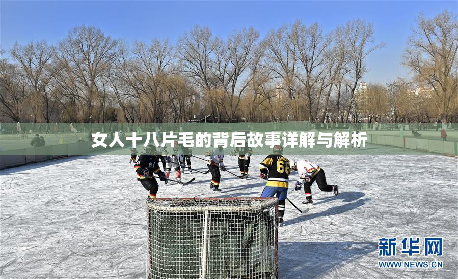 女人十八片毛的背后故事详解与解析