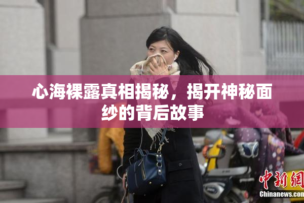 心海裸露真相揭秘，揭开神秘面纱的背后故事