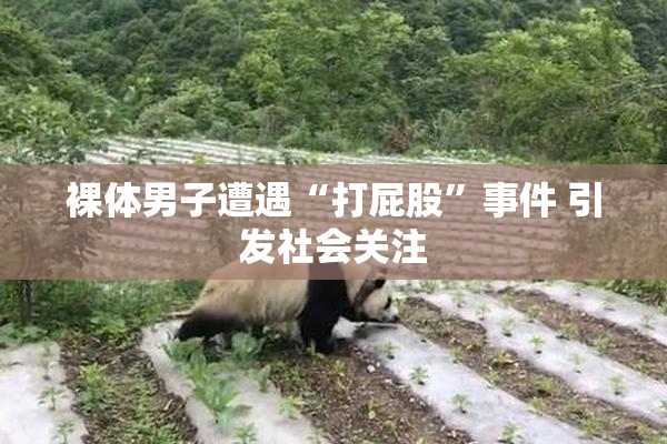 裸体男子遭遇“打屁股”事件 引发社会关注