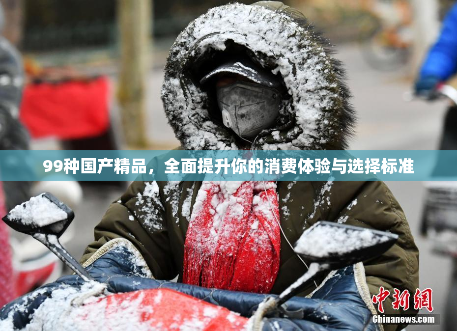 99种国产精品，全面提升你的消费体验与选择标准