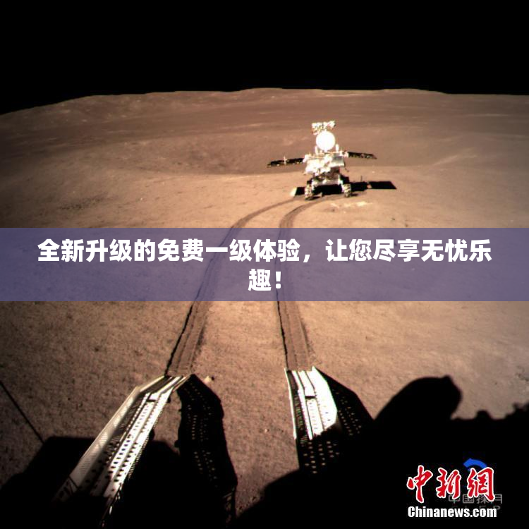 全新升级的免费一级体验，让您尽享无忧乐趣！