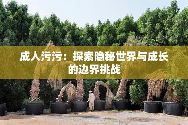 成人污污：探索隐秘世界与成长的边界挑战