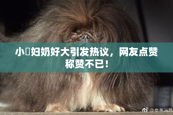 小婬妇奶好大引发热议，网友点赞称赞不已！