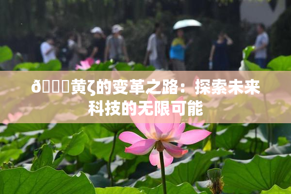 🔞黄ζ的变革之路：探索未来科技的无限可能