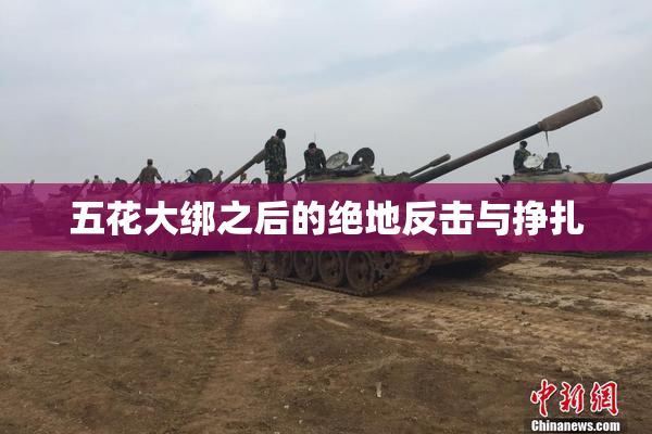 五花大绑之后的绝地反击与挣扎
