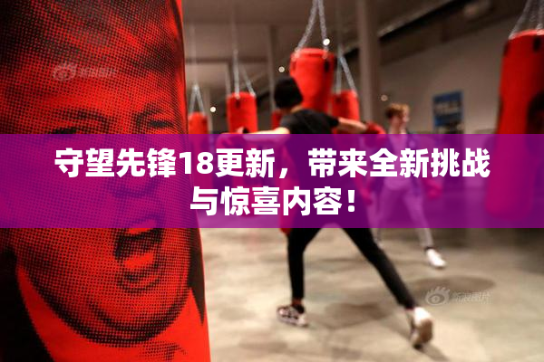 守望先锋18更新，带来全新挑战与惊喜内容！