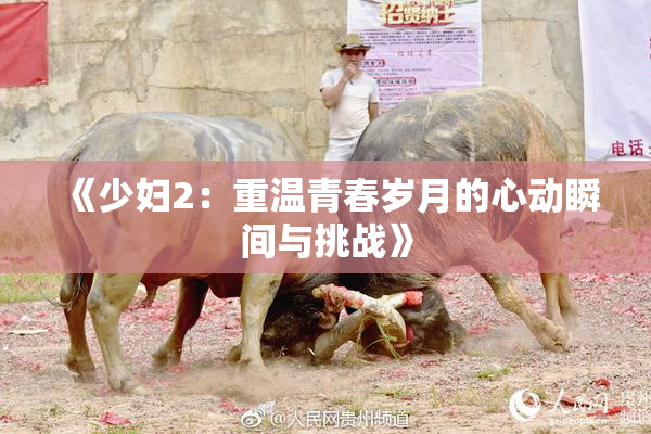 《少妇2：重温青春岁月的心动瞬间与挑战》