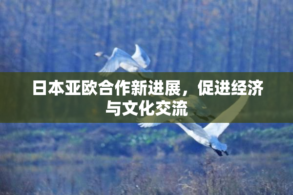 日本亚欧合作新进展，促进经济与文化交流