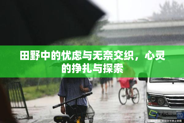 田野中的忧虑与无奈交织，心灵的挣扎与探索