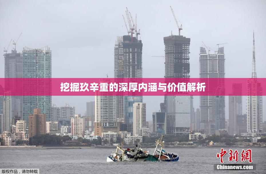 挖掘玖辛重的深厚内涵与价值解析