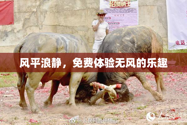 风平浪静，免费体验无风的乐趣