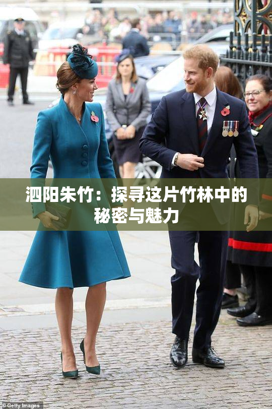泗阳朱竹：探寻这片竹林中的秘密与魅力