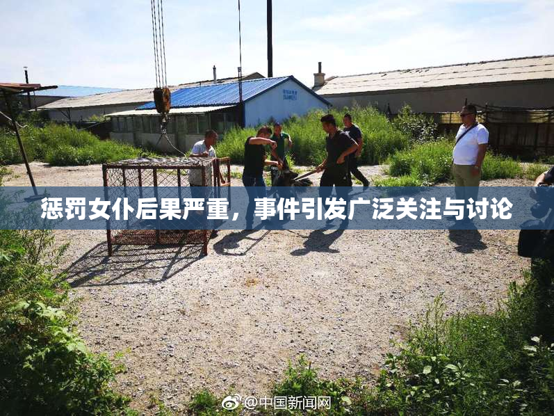惩罚女仆后果严重，事件引发广泛关注与讨论