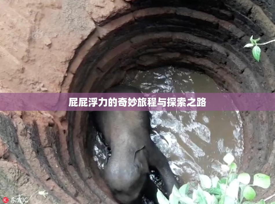 屁屁浮力的奇妙旅程与探索之路