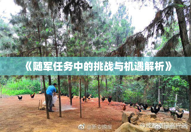 《随军任务中的挑战与机遇解析》