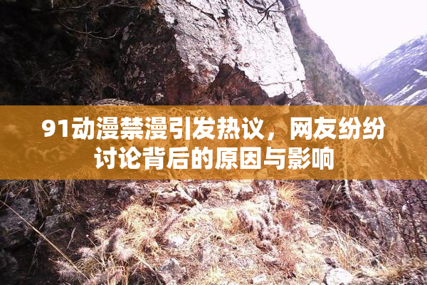 91动漫禁漫引发热议，网友纷纷讨论背后的原因与影响