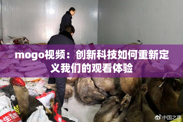 mogo视频：创新科技如何重新定义我们的观看体验