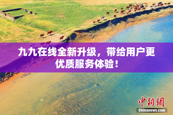 九九在线全新升级，带给用户更优质服务体验！