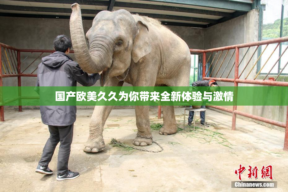 国产欧美久久为你带来全新体验与激情