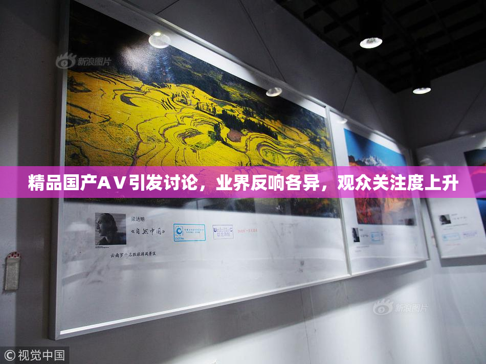 精品国产AⅤ引发讨论，业界反响各异，观众关注度上升