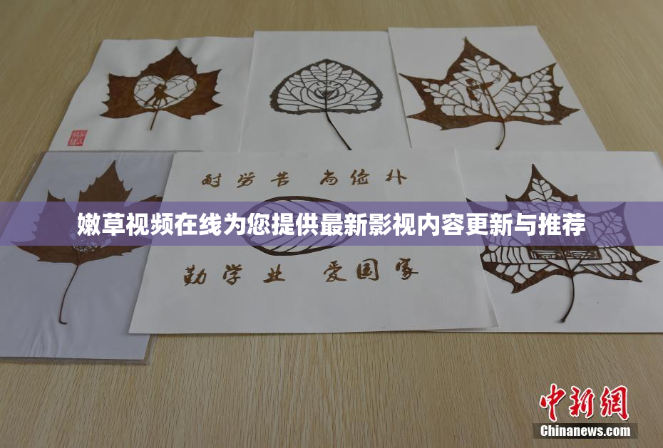 嫩草视频在线为您提供最新影视内容更新与推荐