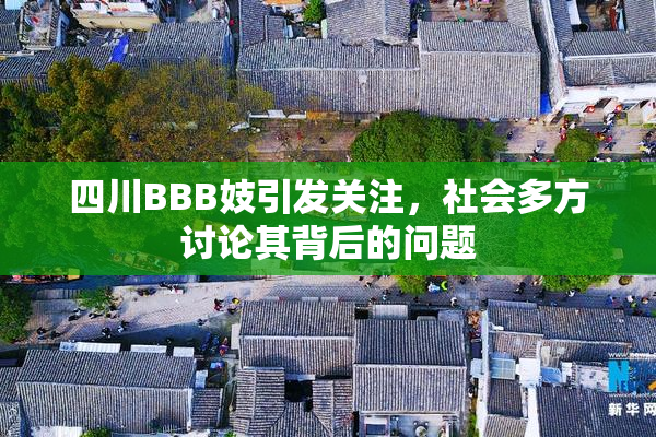 四川BBB妓引发关注，社会多方讨论其背后的问题