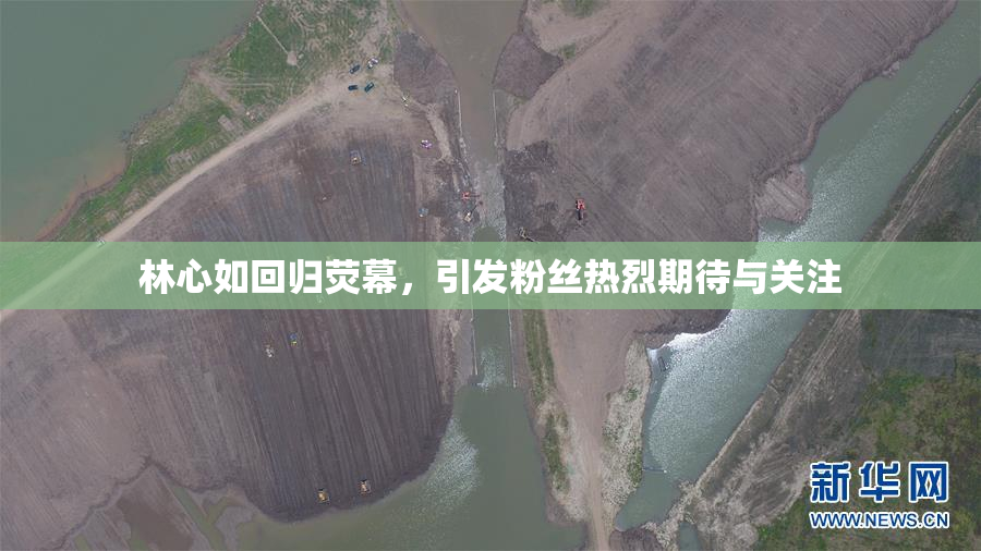 林心如回归荧幕，引发粉丝热烈期待与关注