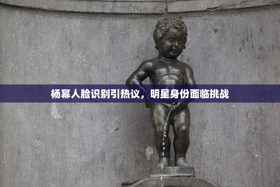 杨幂人脸识别引热议，明星身份面临挑战