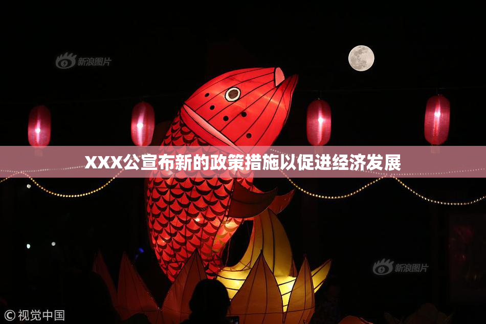 XXX公宣布新的政策措施以促进经济发展