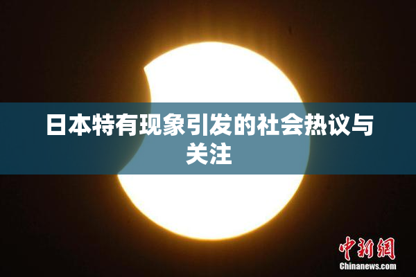 日本特有现象引发的社会热议与关注